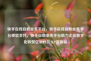 快手在线自助业务平台，快手在线自助业务平台微信支付，快手自助业务平台助力企业数字化转型亿乐社区SUP货源站