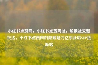 小红书点赞网，小红书点赞网址，解锁社交新玩法，小红书点赞网的隐藏魅力亿乐社区SUP货源站