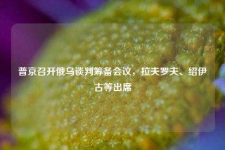 普京召开俄乌谈判筹备会议，拉夫罗夫、绍伊古等出席