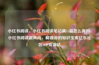 小红书阅读，小红书阅读笔记满15篇怎么弄的，小红书阅读新风尚，解锁你的知识宝库亿乐社区SUP货源站