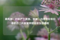 商务部：对原产于美国、欧盟、台湾地区和日本的进口共聚聚甲醛征收反倾销税