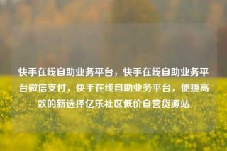 快手在线自助业务平台，快手在线自助业务平台微信支付，快手在线自助业务平台，便捷高效的新选择亿乐社区低价自营货源站