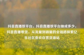 抖音直播放平台，抖音直播放平台抽成多少，抖音直播带货，从流量到销量的全链路探索亿乐社区低价自营货源站