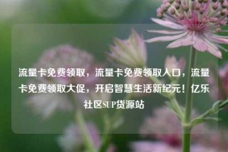 流量卡免费领取，流量卡免费领取入口，流量卡免费领取大促，开启智慧生活新纪元！亿乐社区SUP货源站