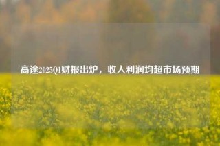 高途2025Q1财报出炉，收入利润均超市场预期