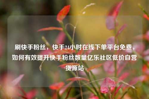 刷快手粉丝，快手24小时在线下单平台免费	，如何有效提升快手粉丝数量亿乐社区低价自营货源站  第1张
