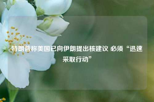 特朗普称美国已向伊朗提出核建议 必须“迅速采取行动	”  第1张