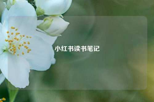 小红书读书笔记  第1张