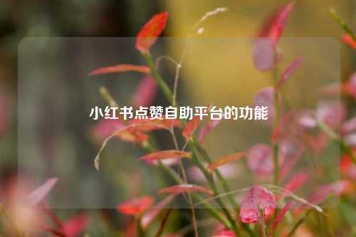 小红书点赞自助平台的功能  第1张