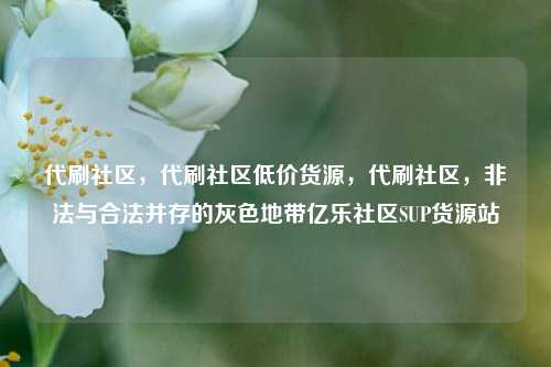 代刷社区，代刷社区低价货源，代刷社区	，非法与合法并存的灰色地带亿乐社区SUP货源站  第1张