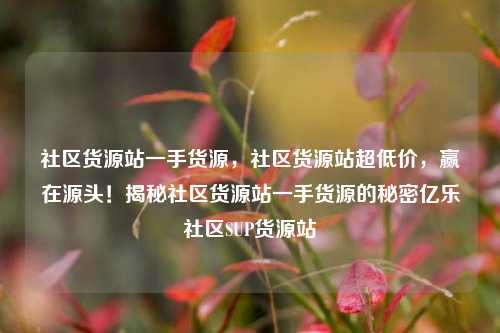 社区货源站一手货源	，社区货源站超低价，赢在源头！揭秘社区货源站一手货源的秘密亿乐社区SUP货源站  第1张