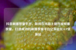 抖音刷播放量平台，如何在抖音上提升视频播放量，打造成功的刷播放量平台亿乐社区SUP货源站