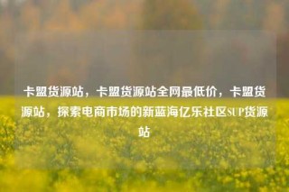 卡盟货源站，卡盟货源站全网最低价，卡盟货源站，探索电商市场的新蓝海亿乐社区SUP货源站