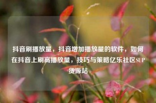 抖音刷播放量，抖音增加播放量的软件，如何在抖音上刷高播放量，技巧与策略亿乐社区SUP货源站