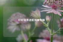 钉钉宣布适配鸿蒙电脑