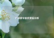 广道数字股民索赔分析