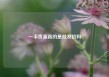 一手货源真的是批发价吗