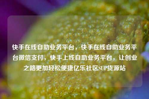 快手在线自助业务平台	，快手在线自助业务平台微信支付，快手上线自助业务平台，让创业之路更加轻松便捷亿乐社区SUP货源站  第1张