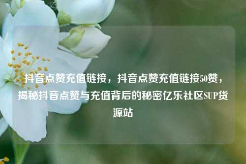 抖音点赞充值链接，抖音点赞充值链接50赞，揭秘抖音点赞与充值背后的秘密亿乐社区SUP货源站  第1张