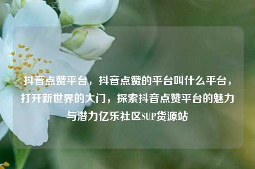 抖音点赞平台	，抖音点赞的平台叫什么平台，打开新世界的大门，探索抖音点赞平台的魅力与潜力亿乐社区SUP货源站  第1张