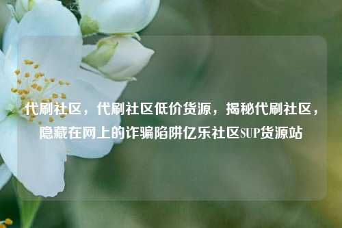 代刷社区	，代刷社区低价货源，揭秘代刷社区，隐藏在网上的诈骗陷阱亿乐社区SUP货源站  第1张