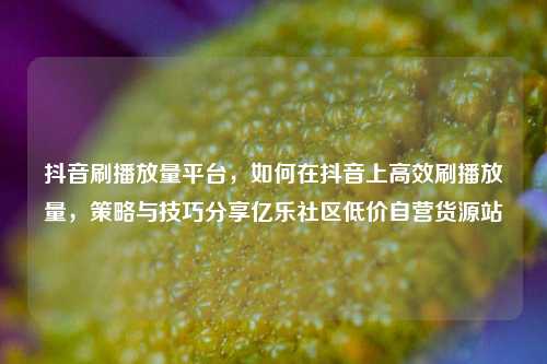 抖音刷播放量平台，如何在抖音上高效刷播放量，策略与技巧分享亿乐社区低价自营货源站  第1张