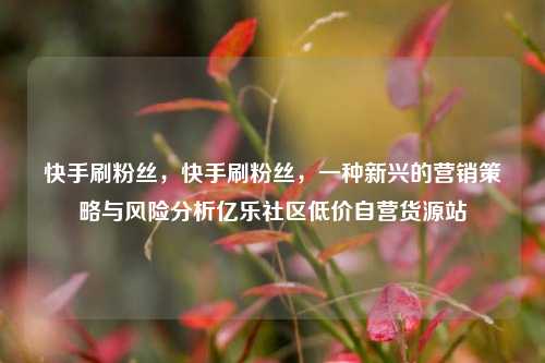 快手刷粉丝，快手刷粉丝	，一种新兴的营销策略与风险分析亿乐社区低价自营货源站  第1张