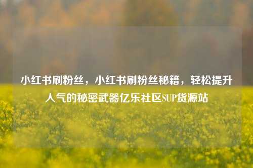 小红书刷粉丝，小红书刷粉丝秘籍，轻松提升人气的秘密武器亿乐社区SUP货源站  第1张