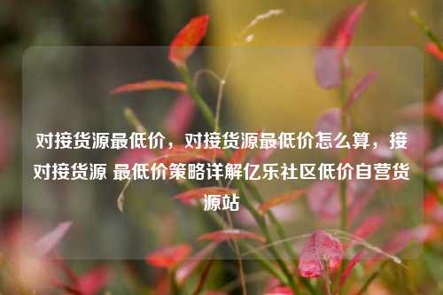 对接货源最低价	，对接货源最低价怎么算，接对接货源 最低价策略详解亿乐社区低价自营货源站  第1张