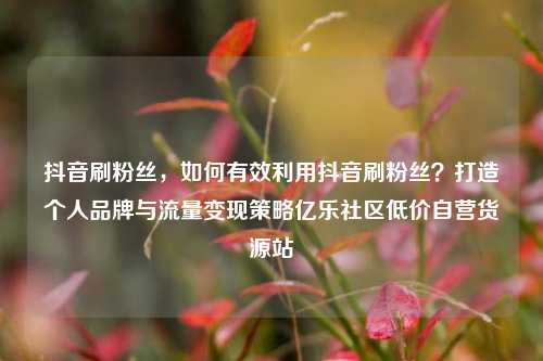 抖音刷粉丝	，如何有效利用抖音刷粉丝？打造个人品牌与流量变现策略亿乐社区低价自营货源站  第1张