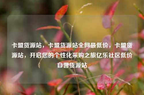 卡盟货源站，卡盟货源站全网最低价，卡盟货源站	，开启您的个性化采购之旅亿乐社区低价自营货源站  第1张