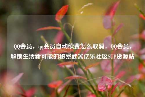 QQ会员	，qq会员自动续费怎么取消，QQ会员，解锁生活新可能的秘密武器亿乐社区SUP货源站  第1张