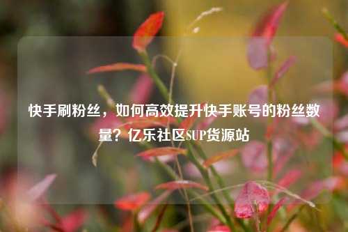 快手刷粉丝，如何高效提升快手账号的粉丝数量？亿乐社区SUP货源站  第1张
