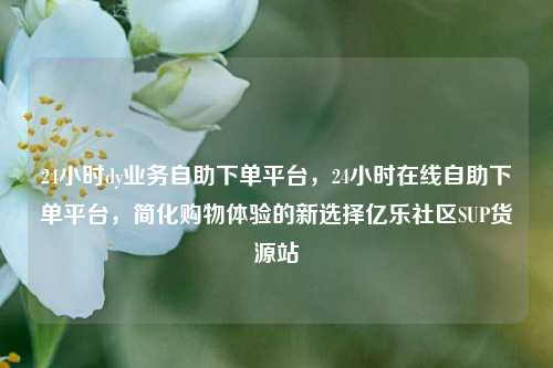 24小时dy业务自助下单平台	，24小时在线自助下单平台，简化购物体验的新选择亿乐社区SUP货源站  第1张