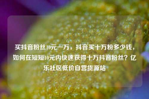 买抖音粉丝10元一万，抖音买十万粉多少钱	，如何在短短10元内快速获得十万抖音粉丝？亿乐社区低价自营货源站  第1张