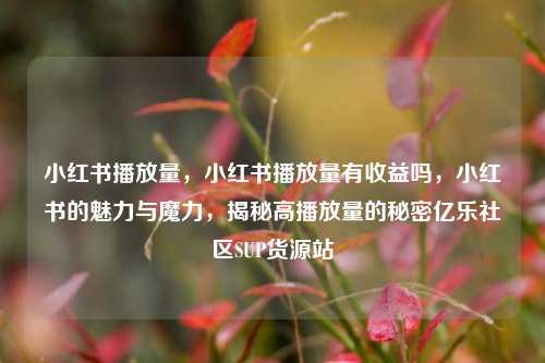 小红书播放量，小红书播放量有收益吗	，小红书的魅力与魔力，揭秘高播放量的秘密亿乐社区SUP货源站  第1张